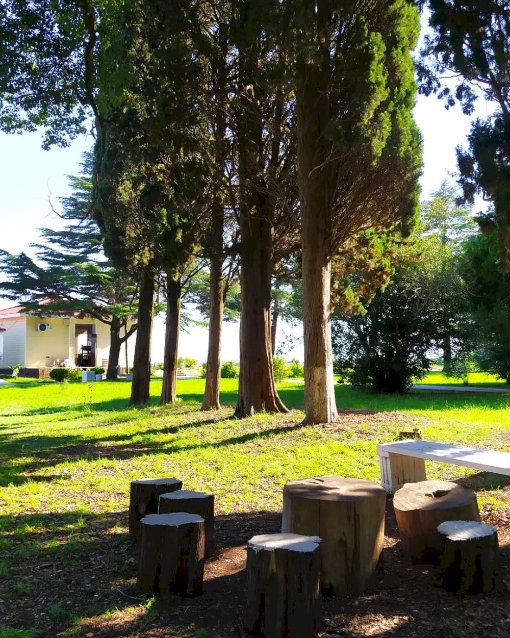 Картинка отеля - 13