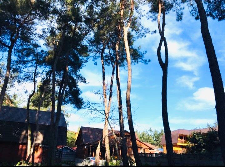 Картинка отеля - 14