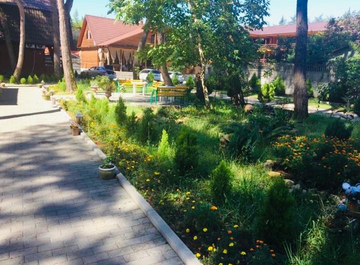 Картинка отеля - 16