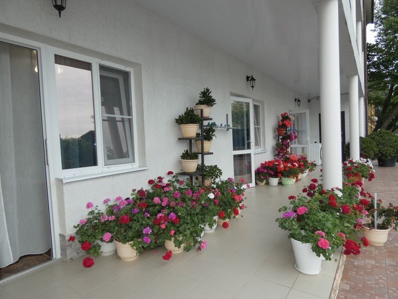 Картинка отеля - 28