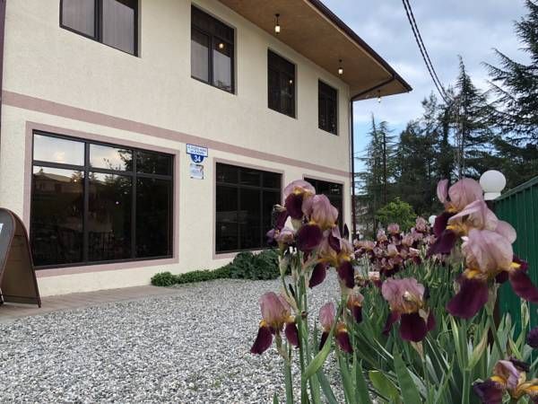 АССИР, мини-гостиница эконом - 2