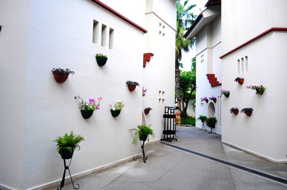 Картинка отеля - 20