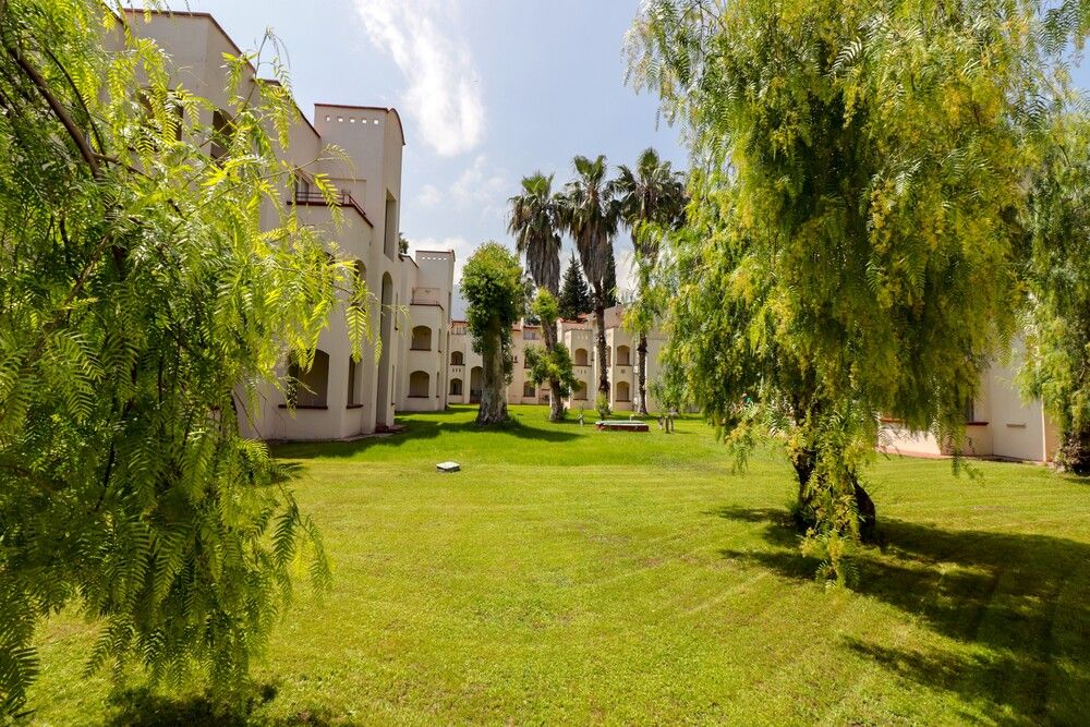 Картинка отеля - 14