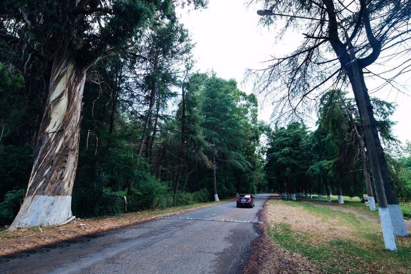 СИМОНА, отель - 6