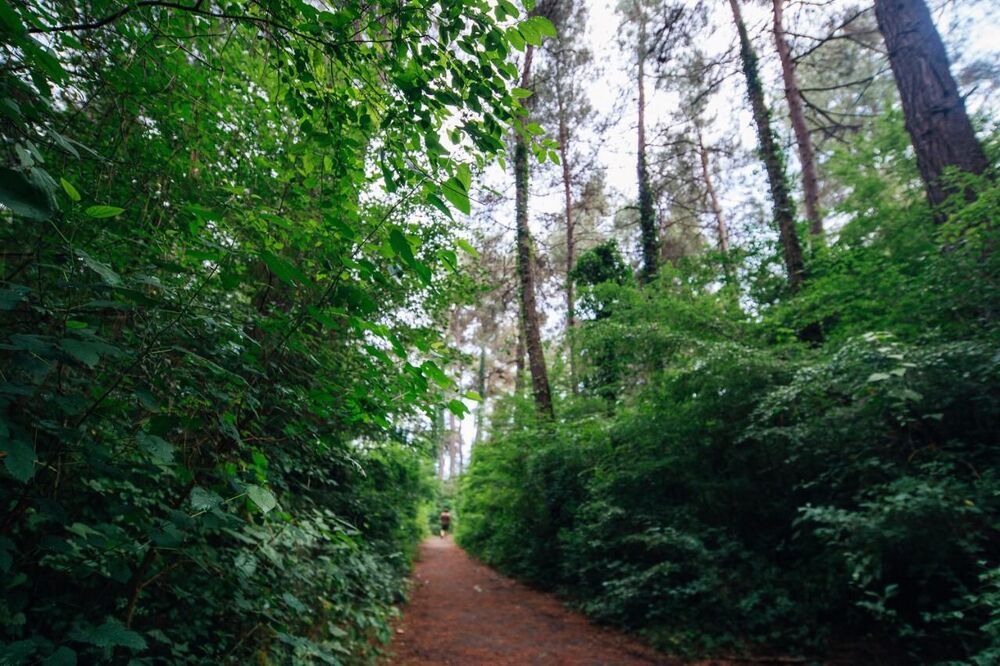 СИМОНА, отель - 7