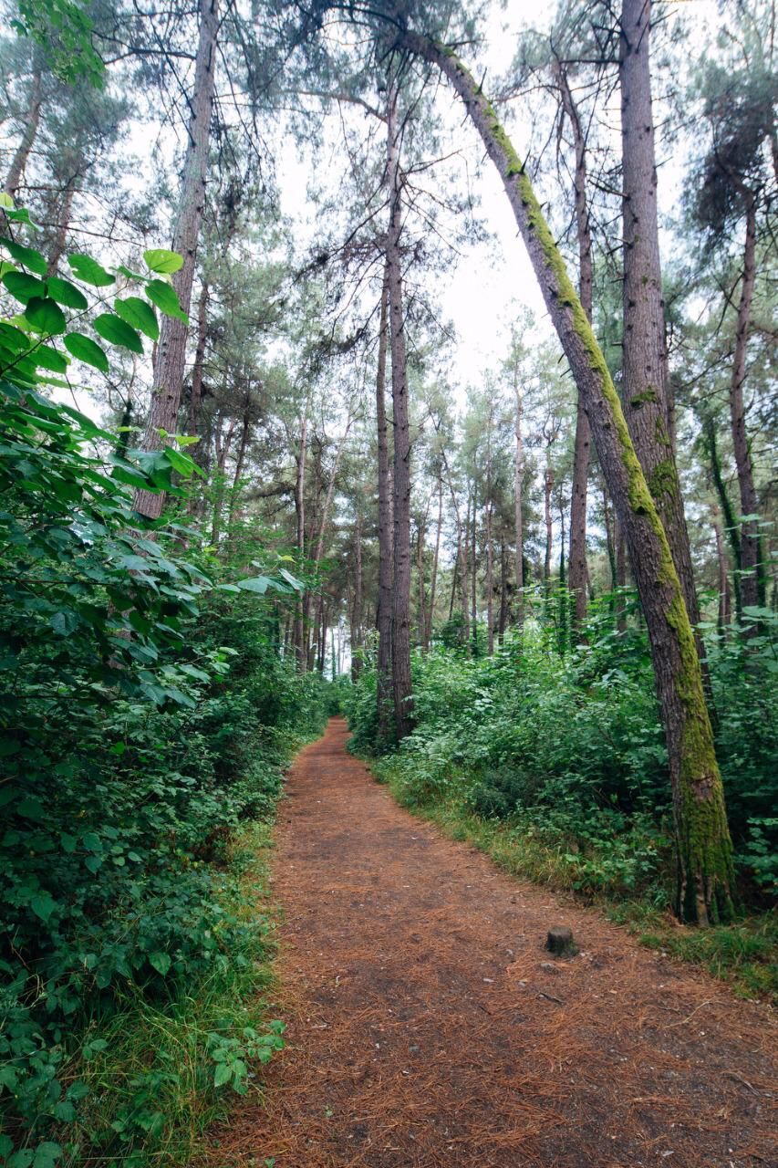 СИМОНА, отель - 8