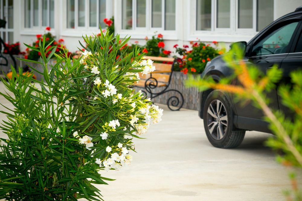 ГРЕЙС САРИЯ, отель стандарт - 14