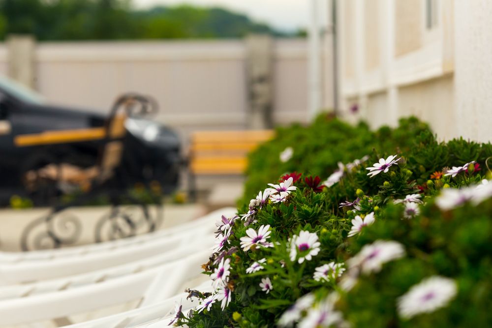 Картинка отеля - 13