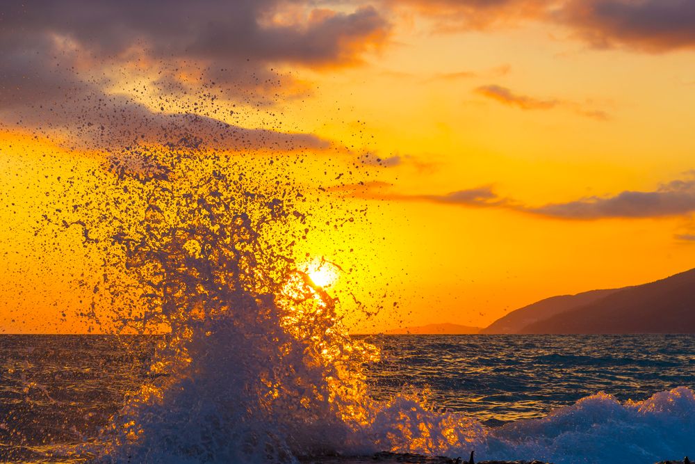 ГРЕЙС САРИЯ, отель стандарт - 22