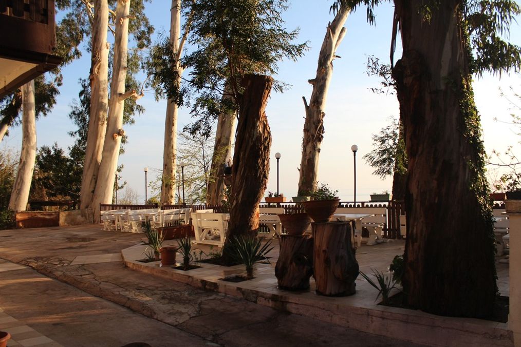 Картинка отеля - 6