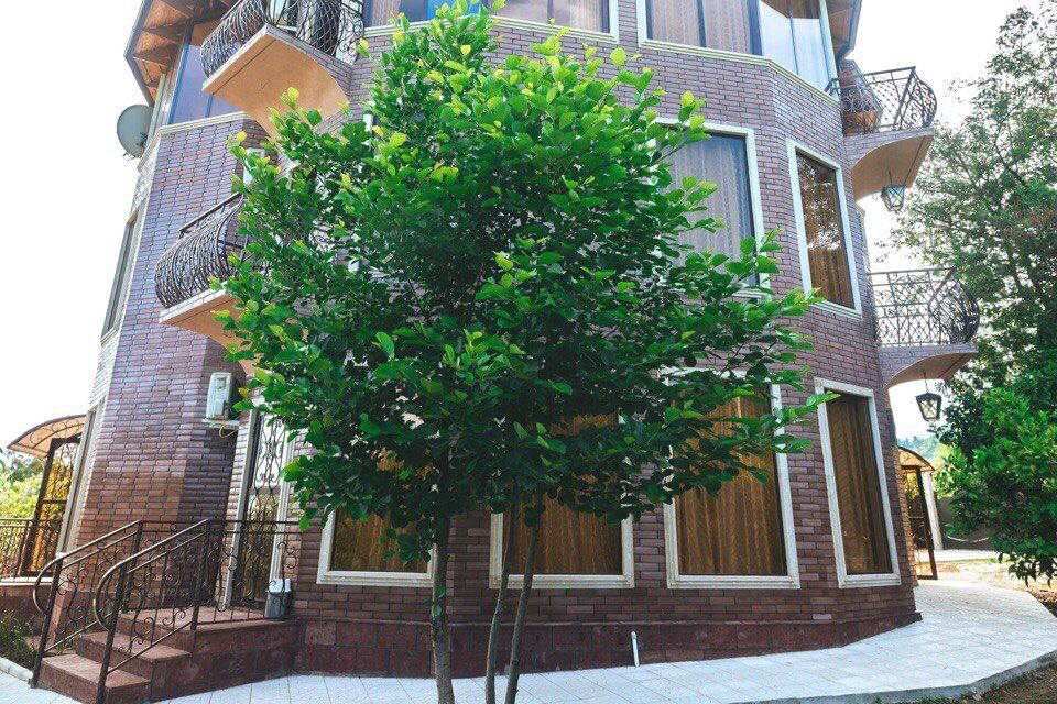 VILLA FAMILIA (ВИЛЛА ФАМИЛИЯ),мини-гостиница эконом - 9