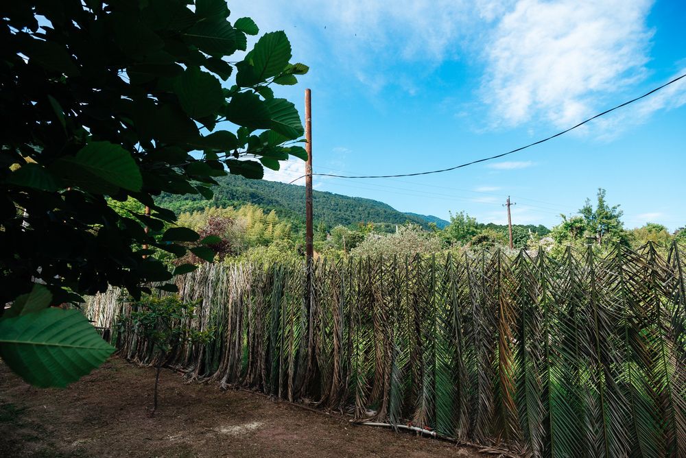 Картинка отеля - 25