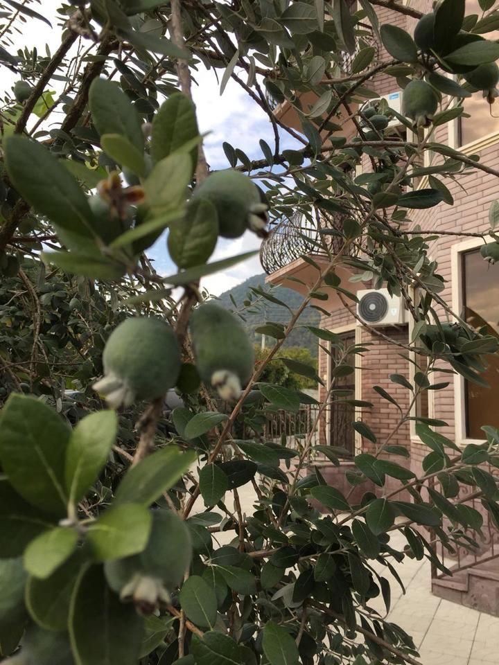 Картинка отеля - 6