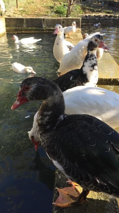 Картинка отеля - 22