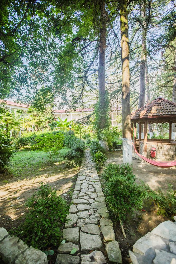 ГОРА ЦАРЯ БАГРАТА, парк отель стандарт - 24