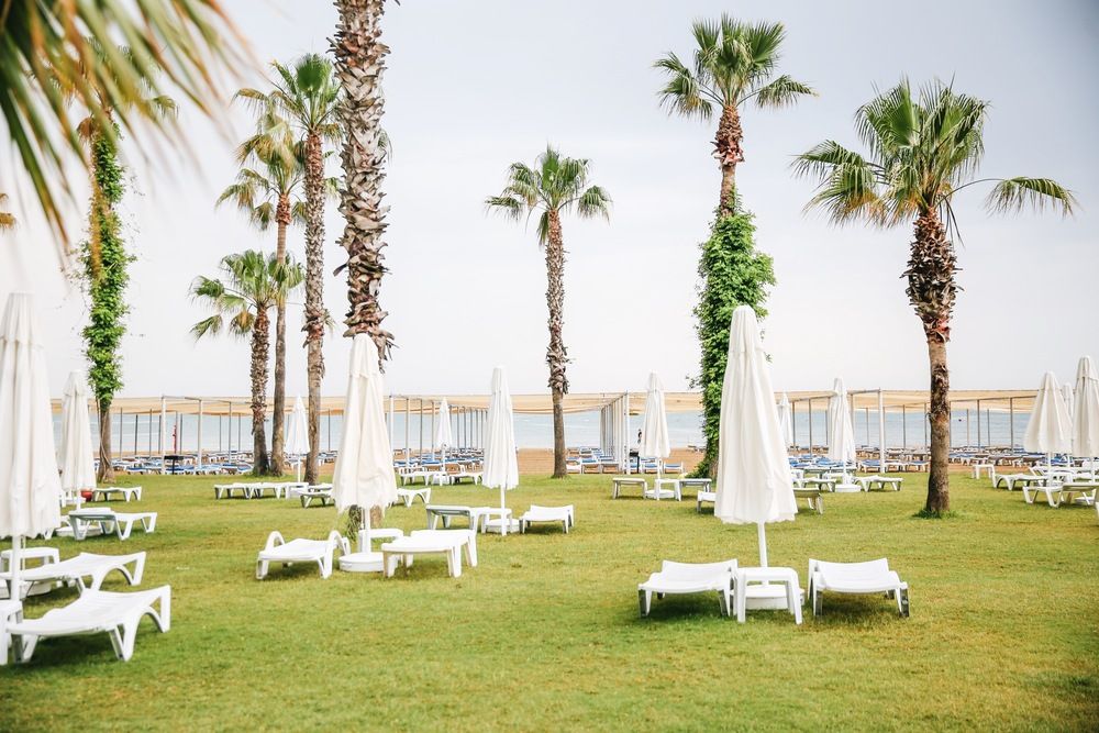 Картинка отеля - 12