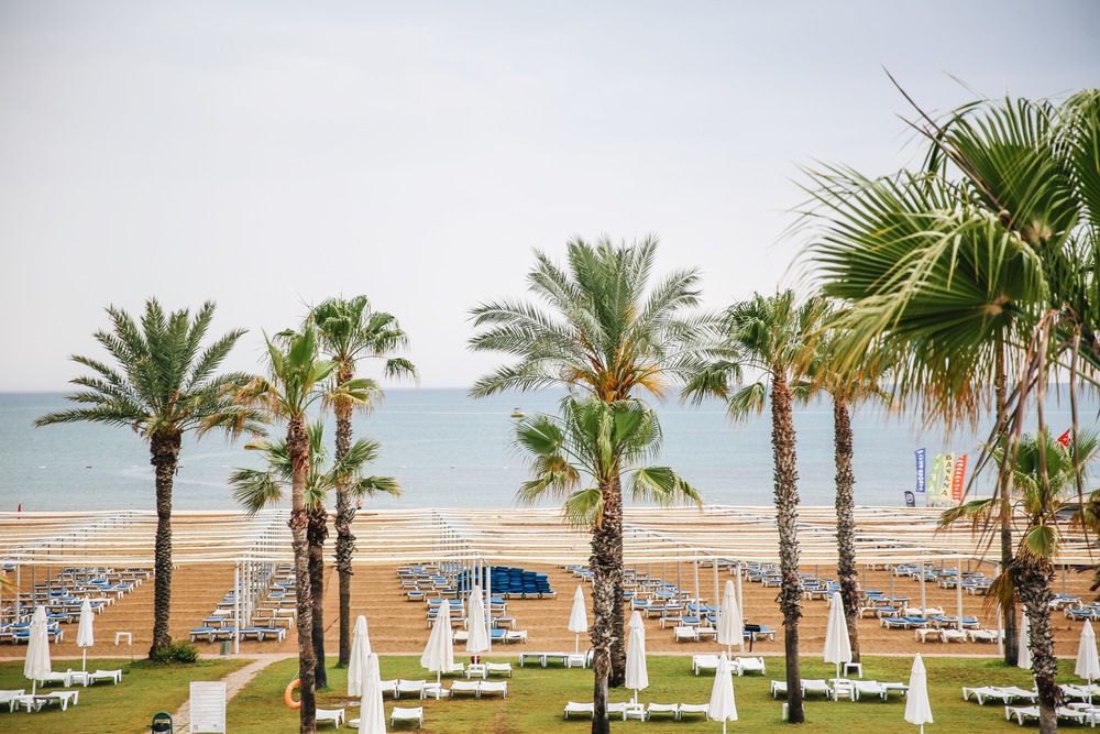 Картинка отеля - 11