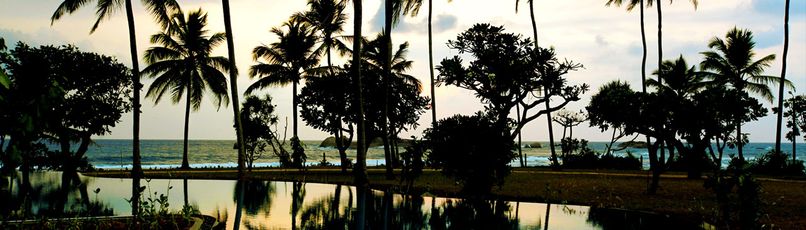 HIKKA TRANZ BY CINNAMON (Ex. Chaaya Tranz) - 4