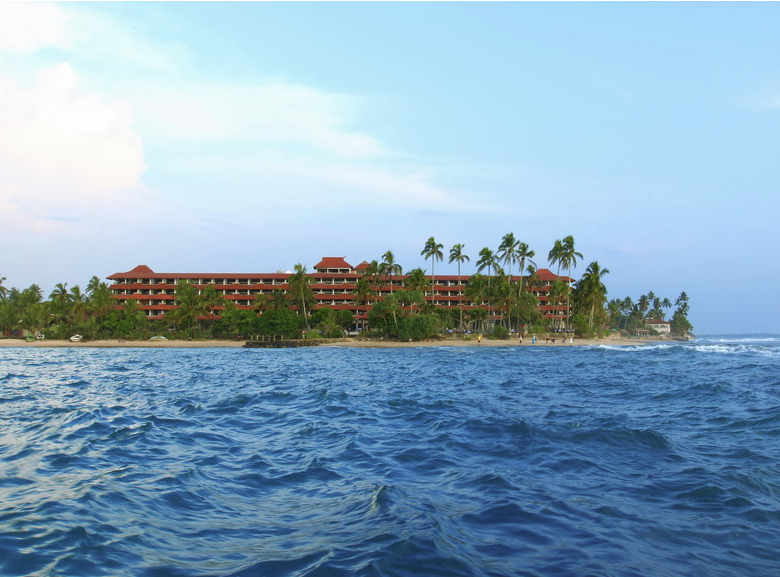 HIKKA TRANZ BY CINNAMON (Ex. Chaaya Tranz) - 1