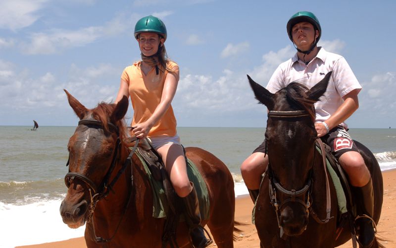 CLUB HOTEL DOLPHIN - 15