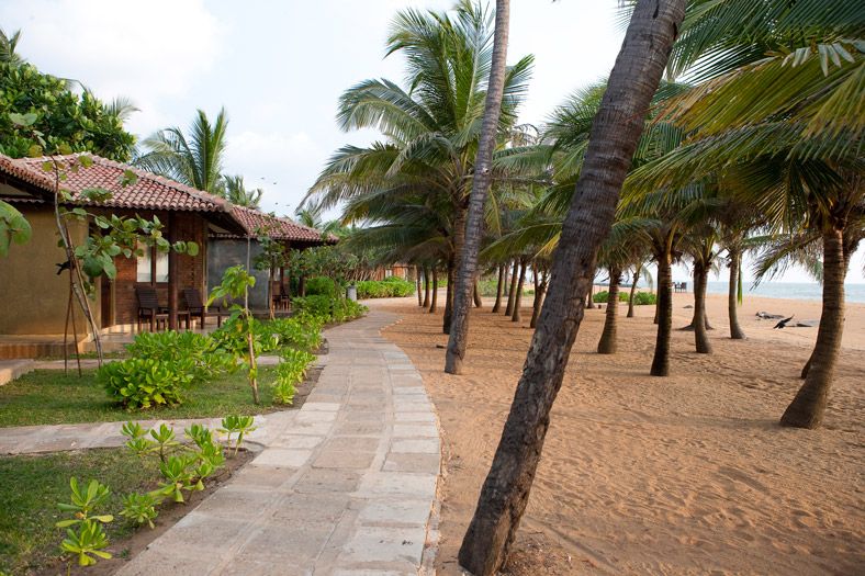 CLUB HOTEL DOLPHIN - 5