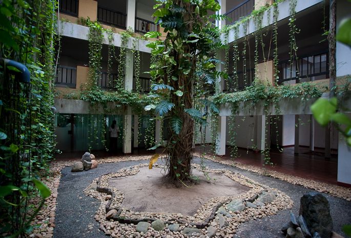 CLUB HOTEL DOLPHIN - 14