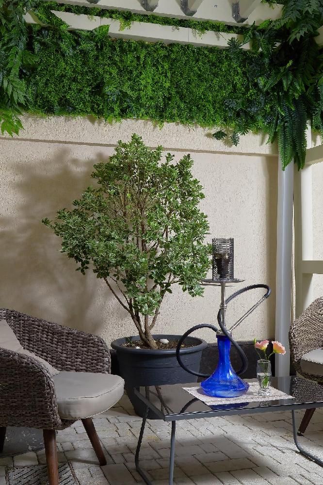 GARUDA (ГАРУДА), бутик-отель комфорт - 9