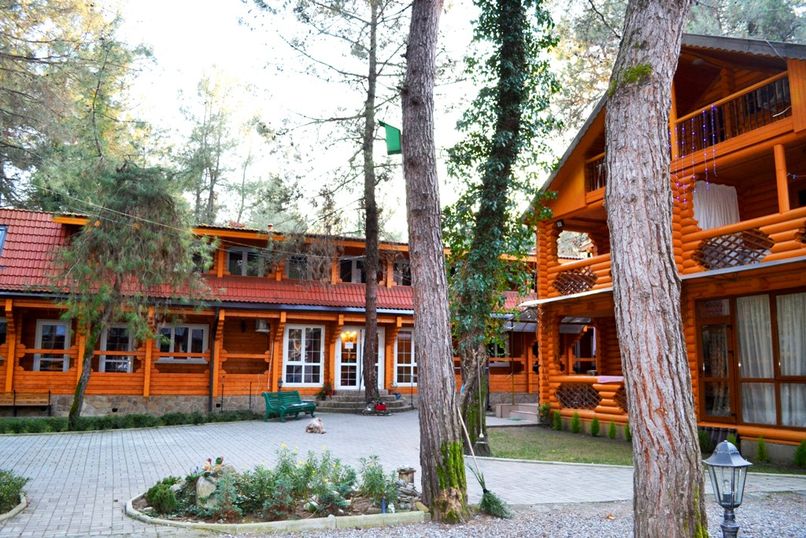 СОСНОВЫЙ БОР, гостевой дом эконом - 1