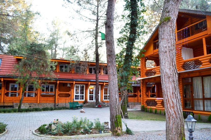 СОСНОВЫЙ БОР, гостевой дом эконом - 1