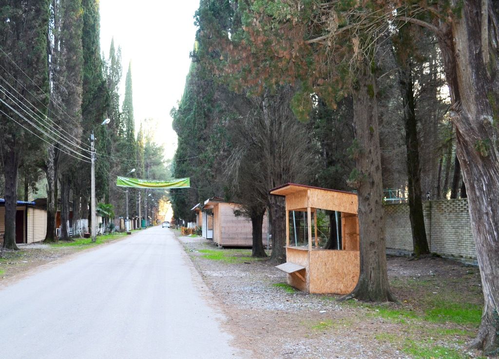 СОСНОВЫЙ БОР, гостевой дом эконом - 33