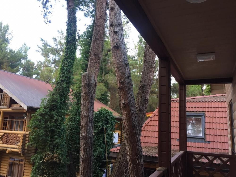 Картинка отеля - 17