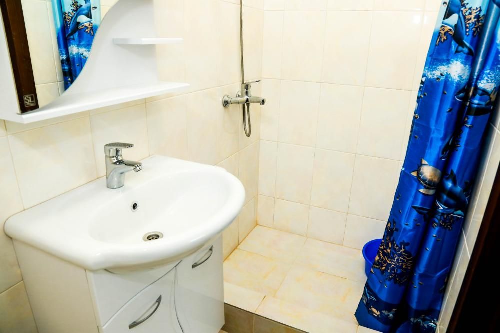 НЕВСКИЕ ЗВЕЗДЫ, гостевой дом стандарт - 23