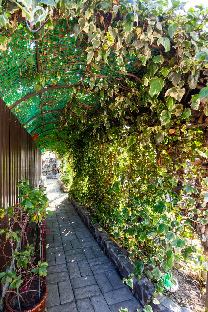 Картинка отеля - 11