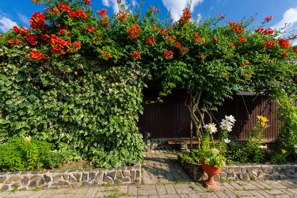 Картинка отеля - 10