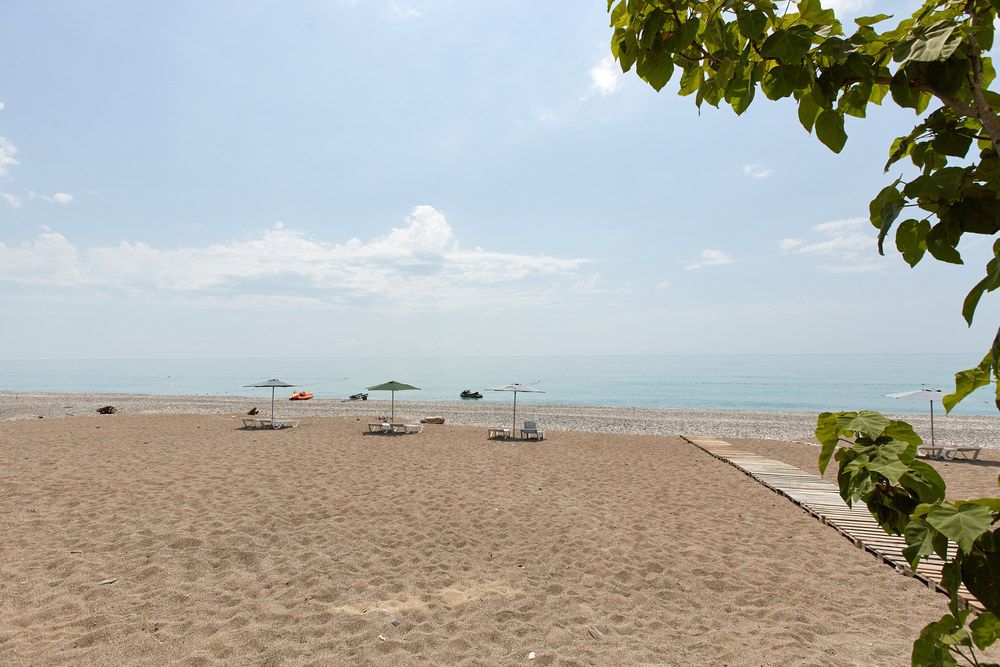 OLD GAGRA (ОЛД ГАГРА), отель стандарт - 16