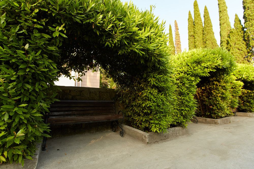 OLD GAGRA (ОЛД ГАГРА), отель стандарт - 10