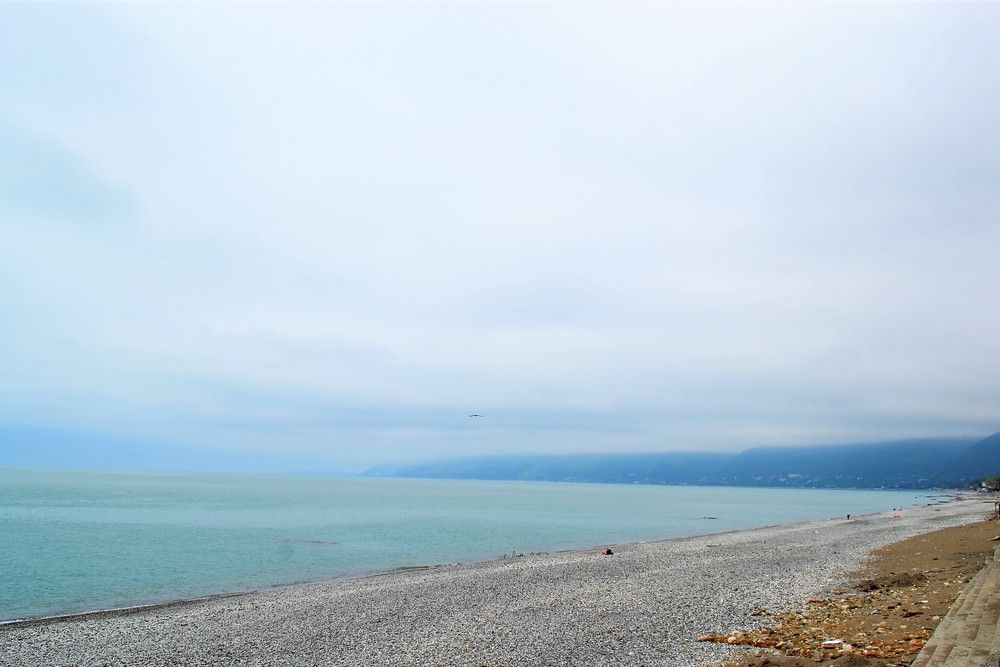 ОРХИДЕЯ, отель стандарт - 7