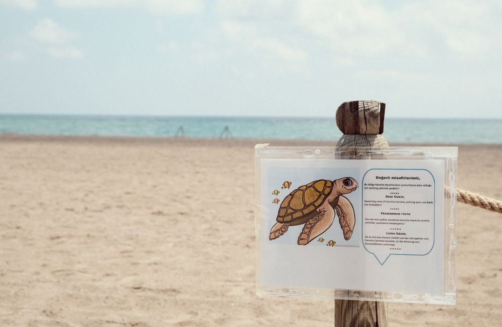 Crystal Paraiso Aqua Collection - 8