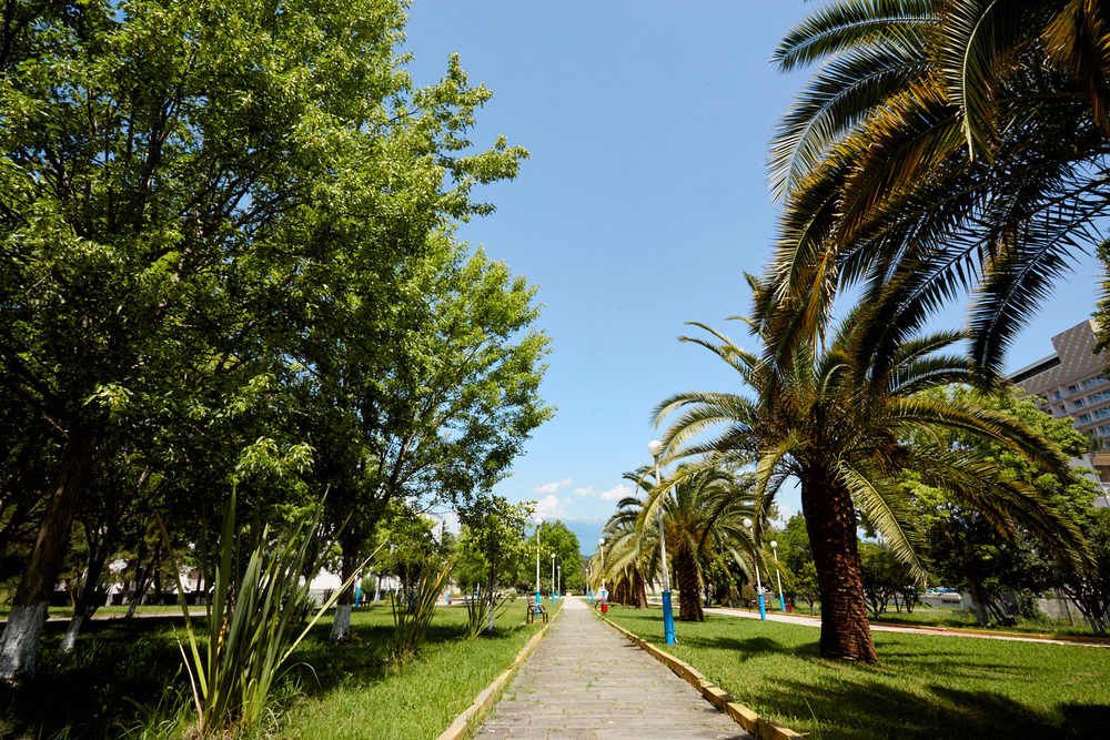 Картинка отеля - 30