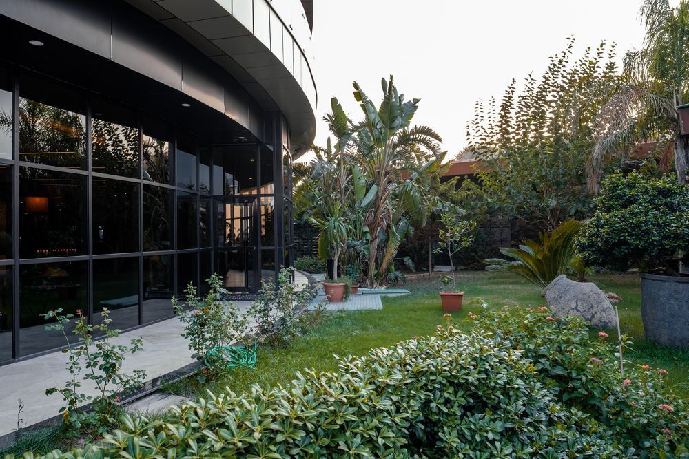 Michell Hotel (only adults 16+) - 10