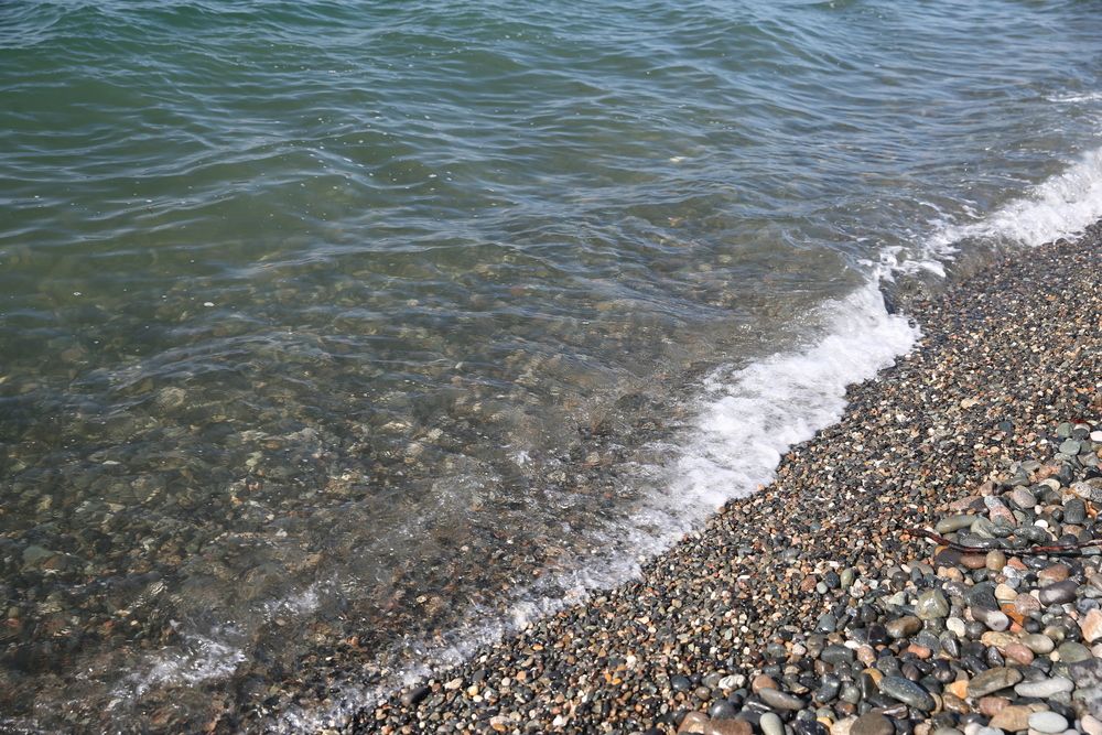 ЭВКАЛИПТОВАЯ РОЩА,отель эконом - 28