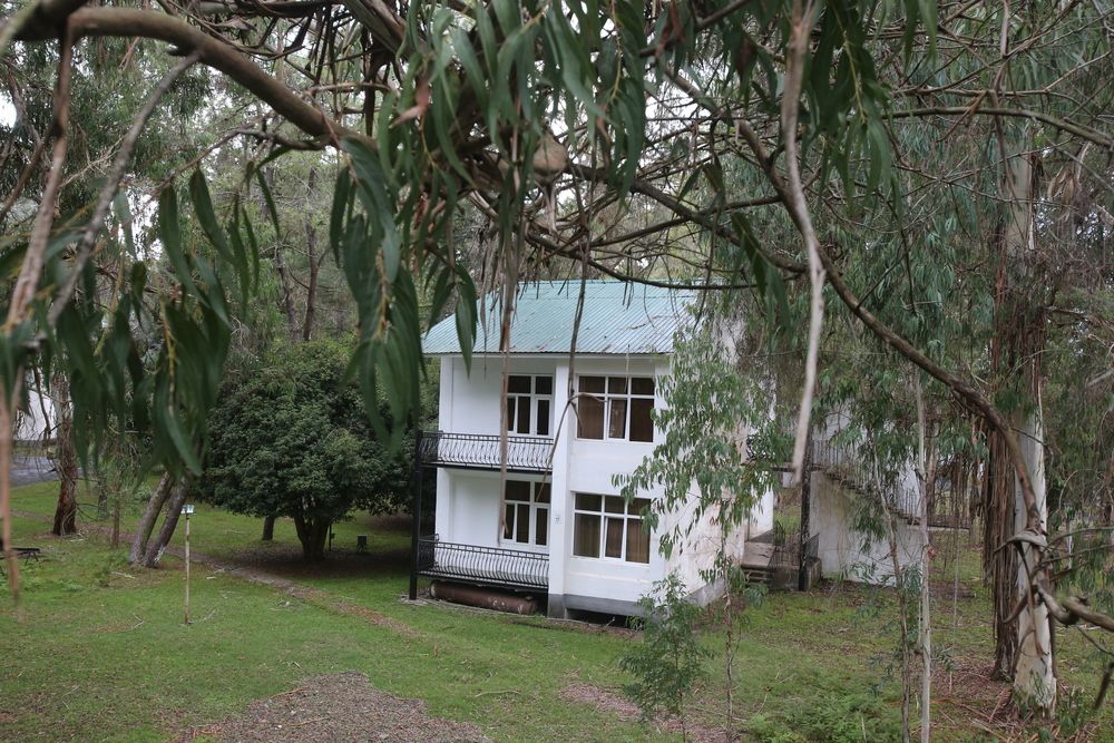 ЭВКАЛИПТОВАЯ РОЩА,отель эконом - 8