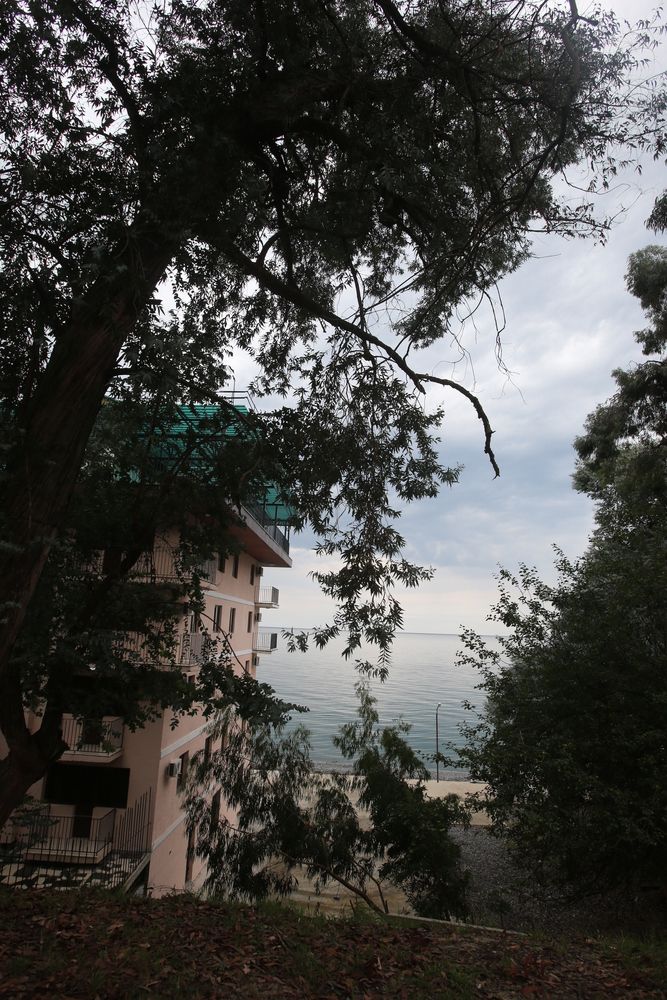 Картинка отеля - 16