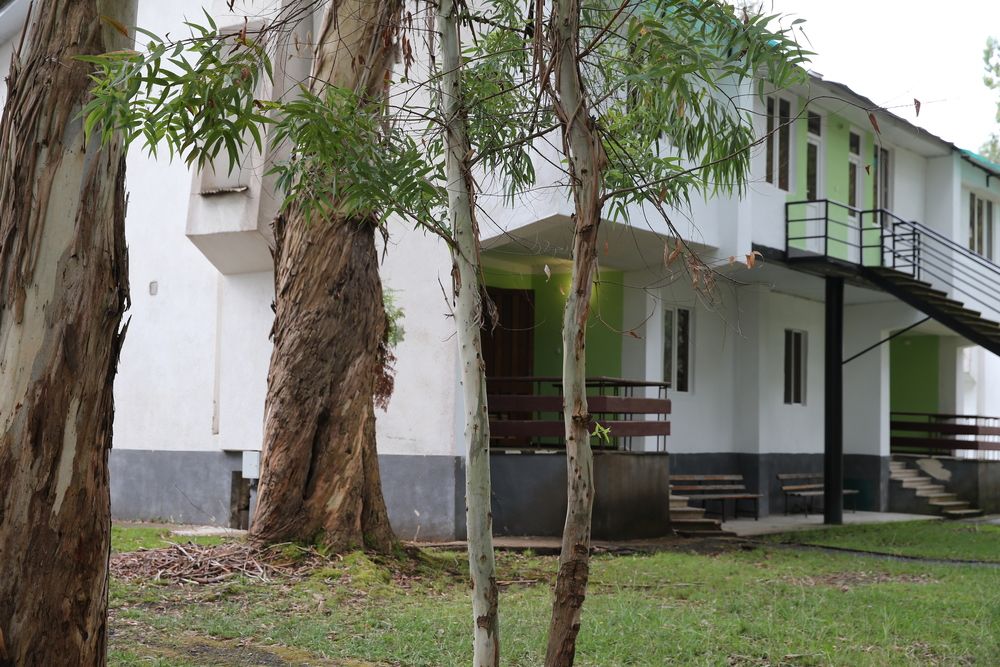 ЭВКАЛИПТОВАЯ РОЩА,отель эконом - 10