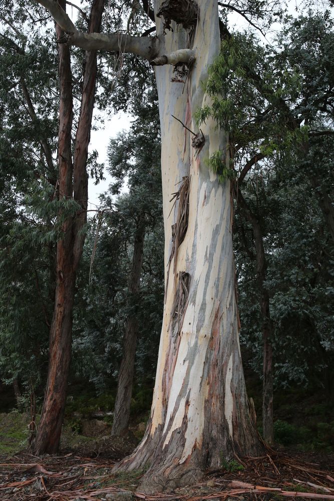 Картинка отеля - 15