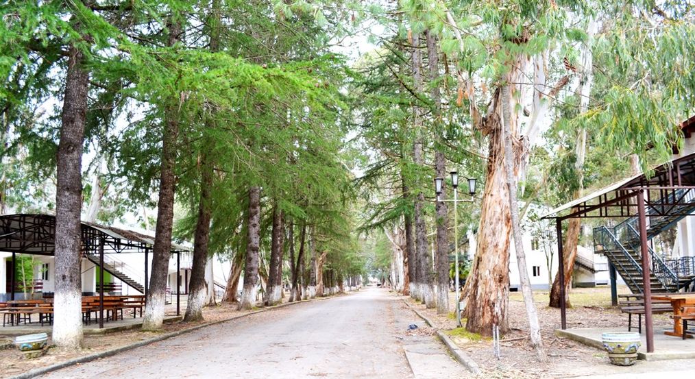 Картинка отеля - 18