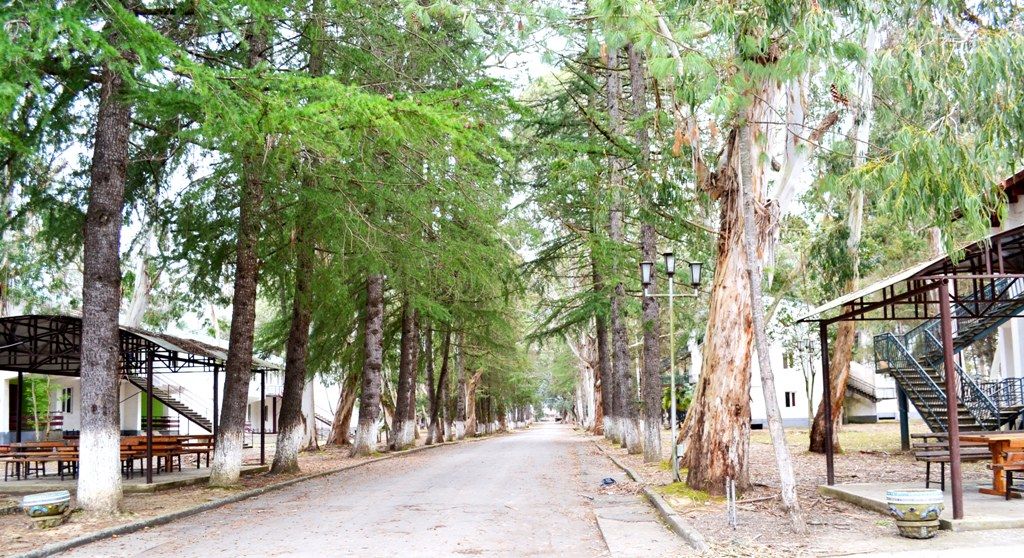 ЭВКАЛИПТОВАЯ РОЩА,отель эконом - 18