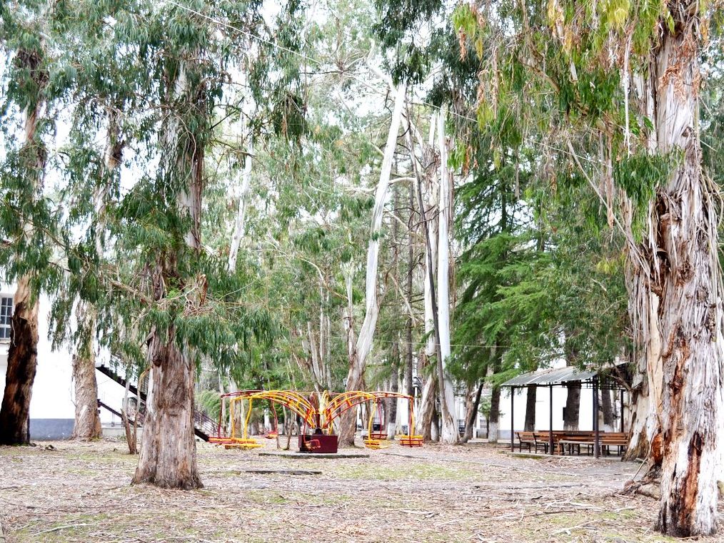 Картинка отеля - 17