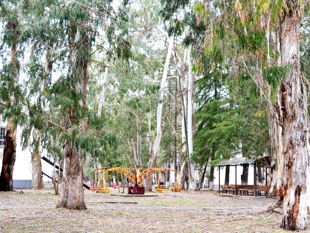 ЭВКАЛИПТОВАЯ РОЩА,отель эконом - 17