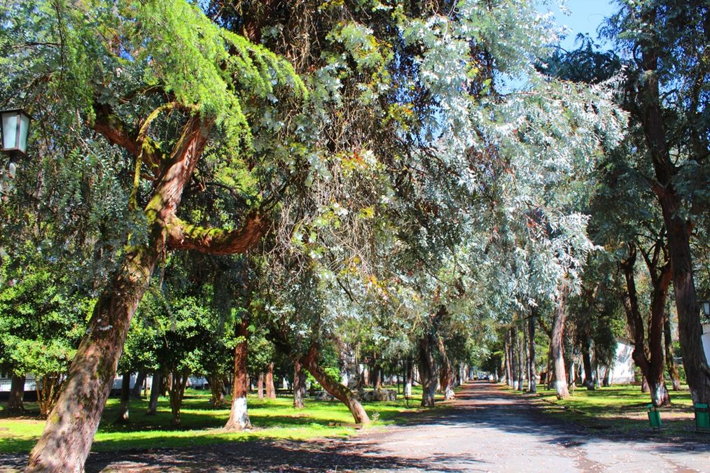 Картинка отеля - 13